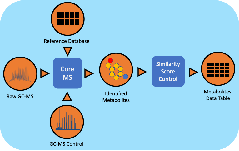 ../_images/8_Metabolomics_metamsworkflow.png